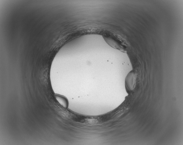 X0000064040509200602171648