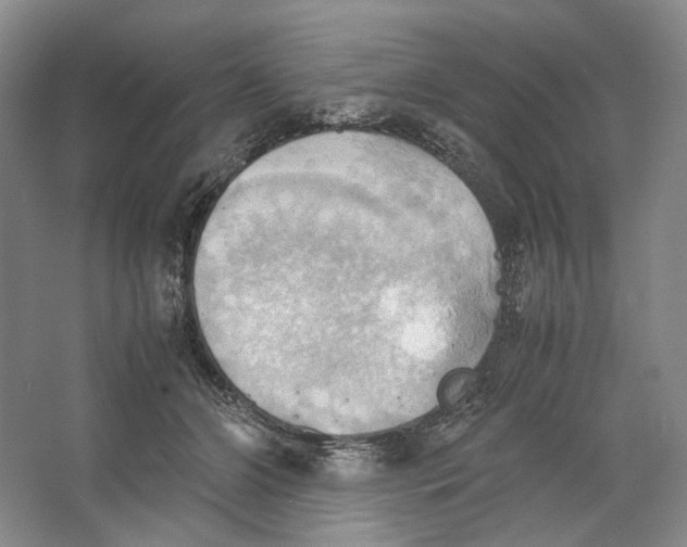 X0000064040510200602171648