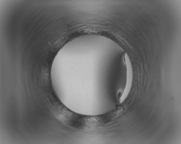 X0000064040513200602171648