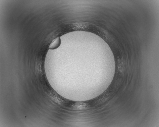 X0000064040514200602171648