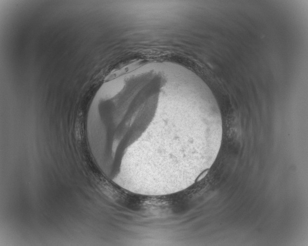 X0000064040515200602171648