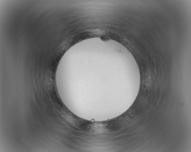 X0000064040518200602171647