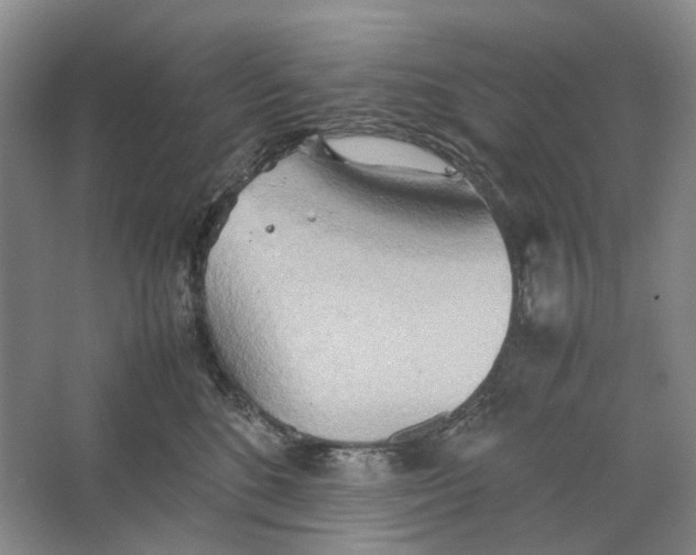 X0000064040520200602171647