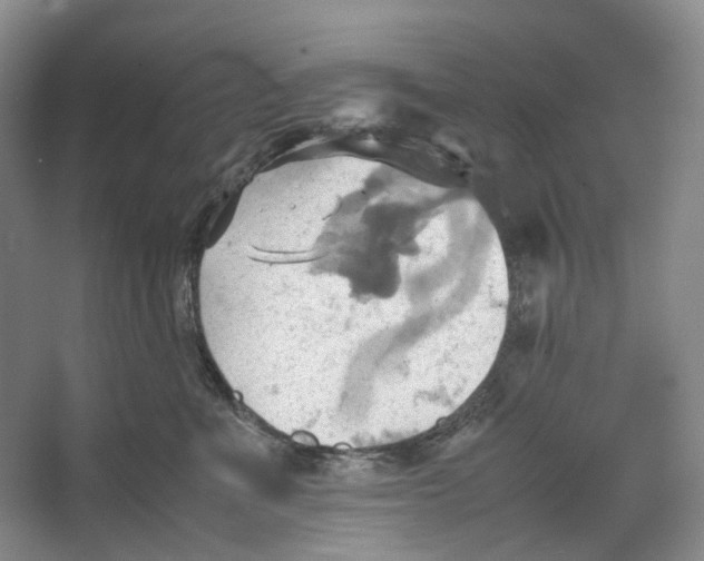 X0000064040523200602171647