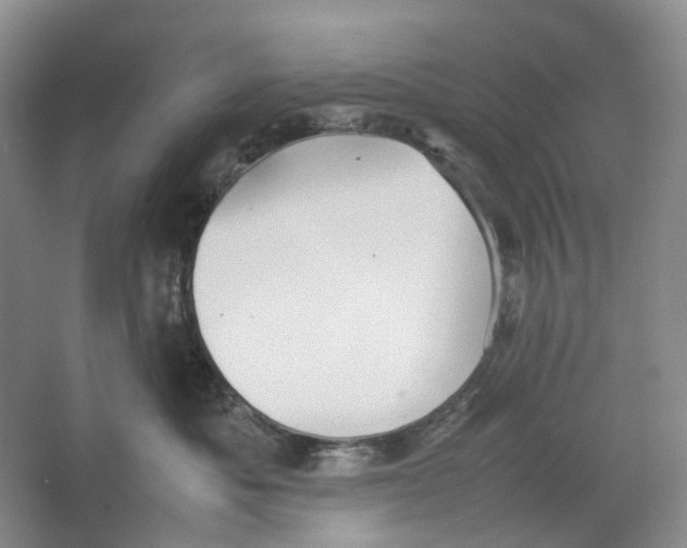 X0000064040525200602171647