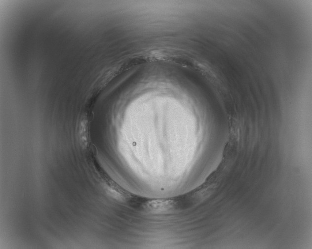 X0000064040526200602171647