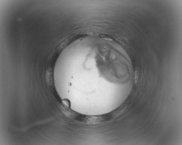 X0000064040527200602171647