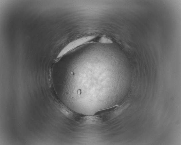 X0000064040528200602171647