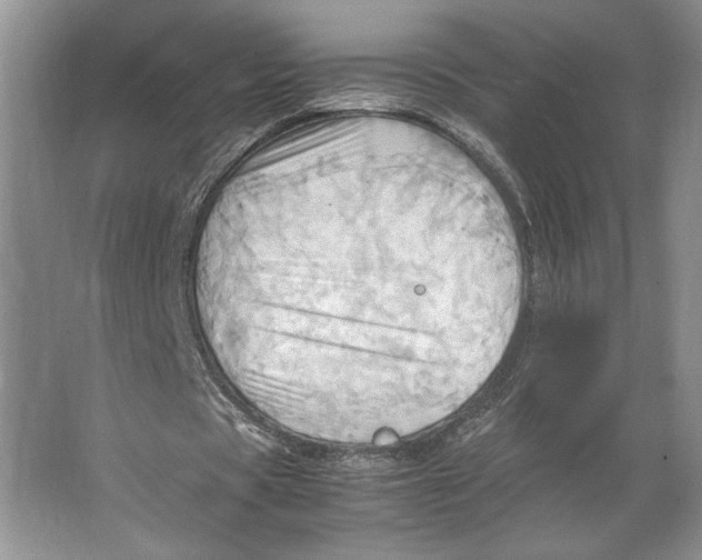 X0000064040529200602171646