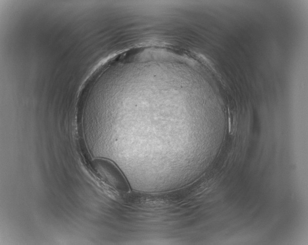 X0000064040531200602171647