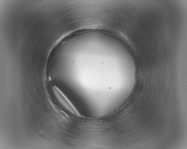 X0000064040532200602171647