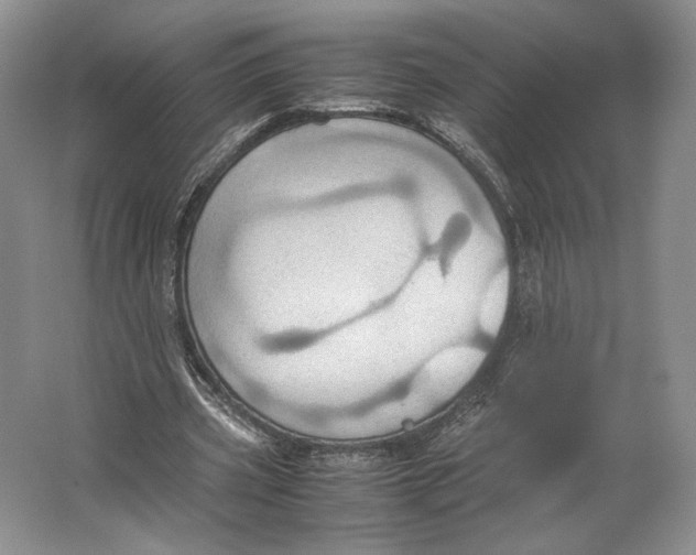 X0000064040533200602171647