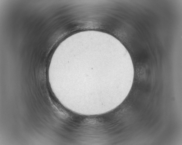 X0000064040534200602171647