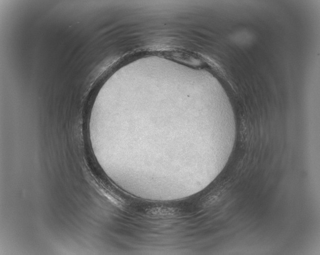 X0000064040535200602171647