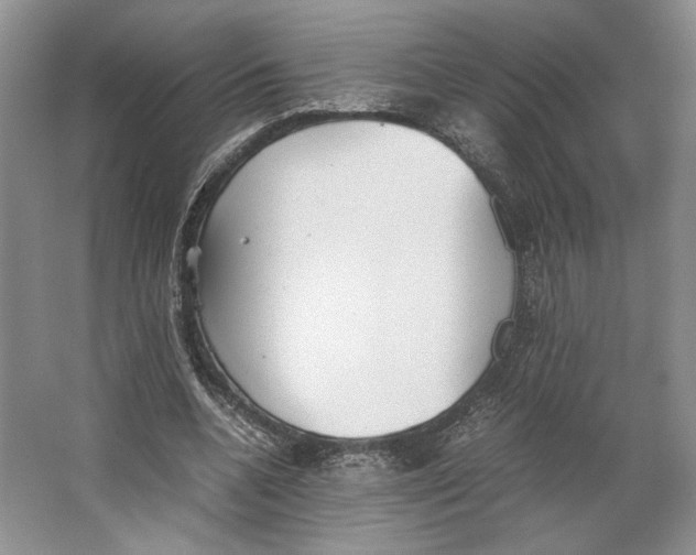 X0000064040536200602171647