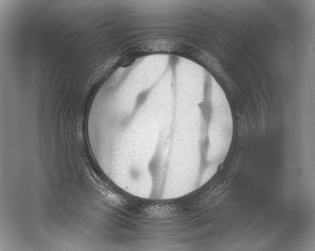 X0000064040537200602171647