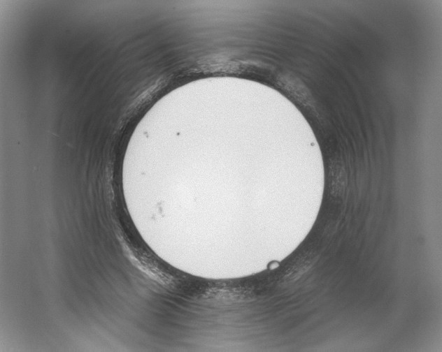 X0000064040538200602171647