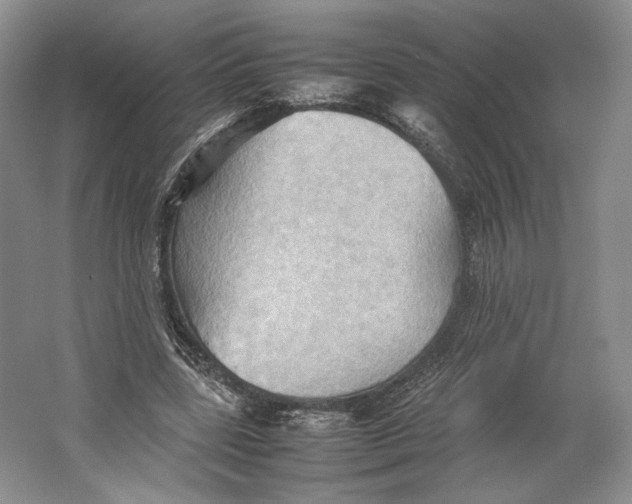 X0000064040539200602171647