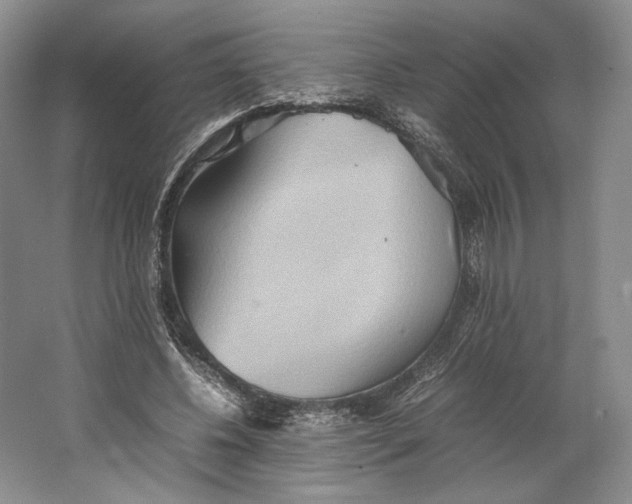 X0000064040540200602171647