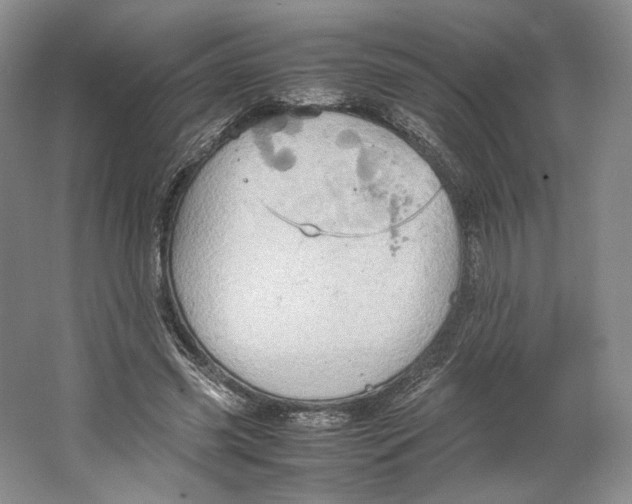 X0000064040541200602171647