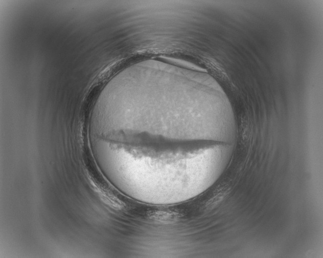 X0000064040542200602171647