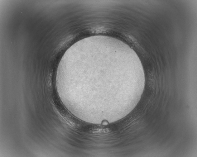 X0000064040543200602171647