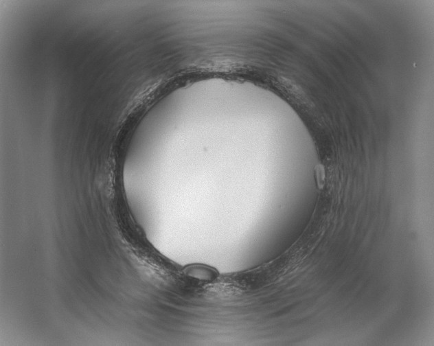 X0000064040544200602171647