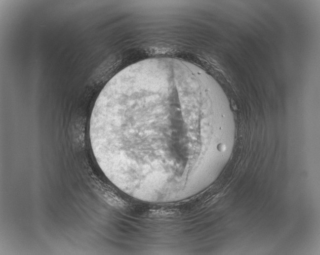 X0000064040545200602171647