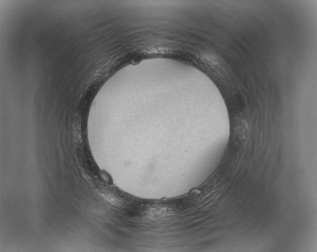 X0000064040547200602171647