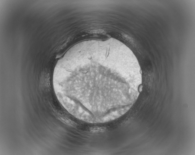 X0000064040549200602171647