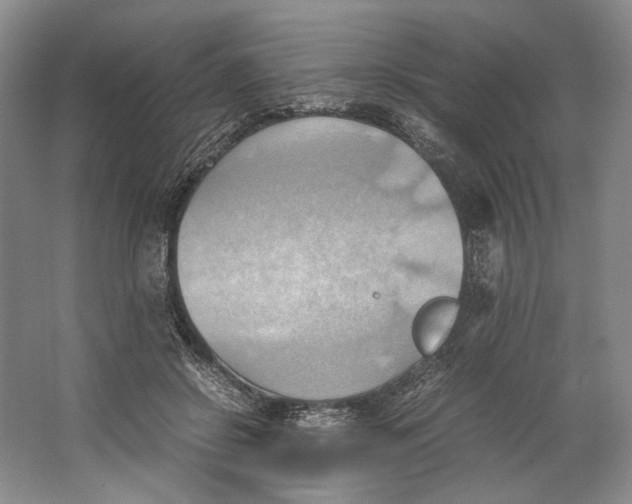 X0000064040550200602171647