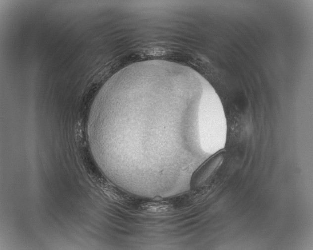 X0000064040555200602171647