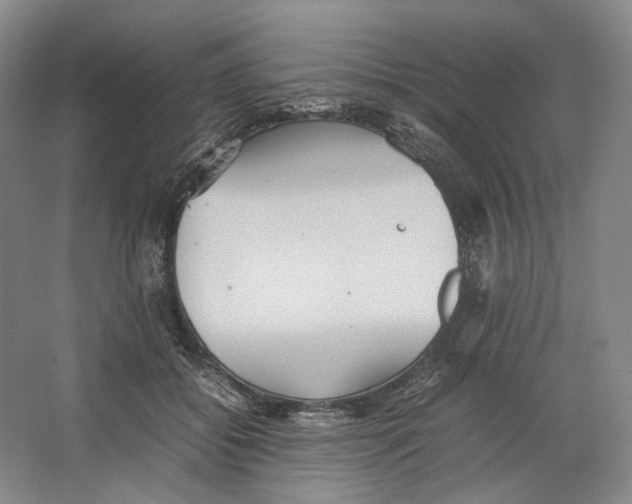 X0000064040556200602171647