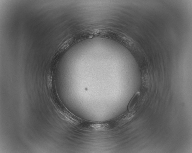 X0000064040558200602171647