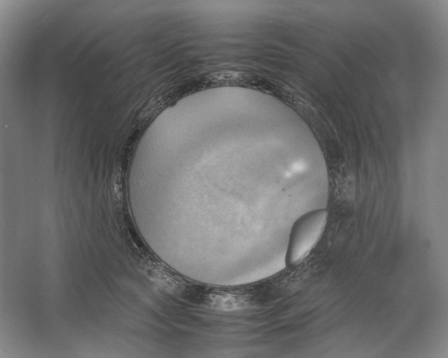 X0000064040561200602171647