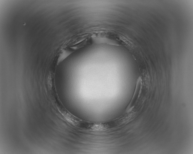 X0000064040562200602171647