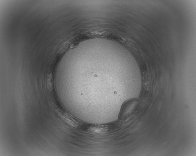 X0000064040563200602171647