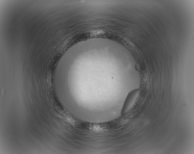 X0000064040565200602171647