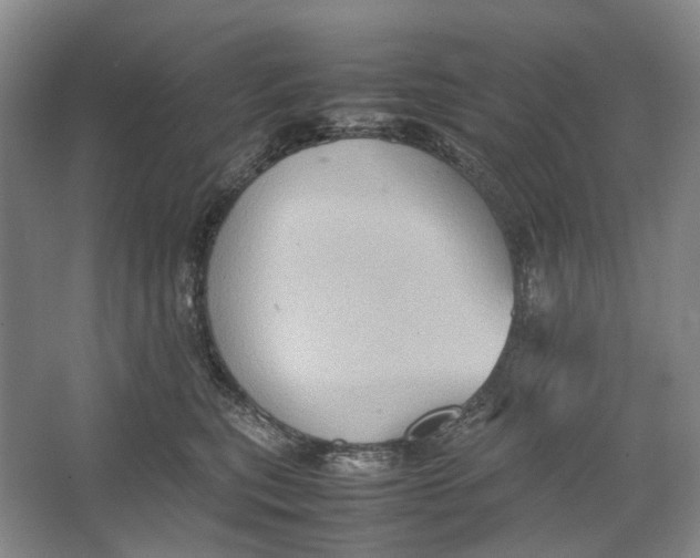 X0000064040567200602171647