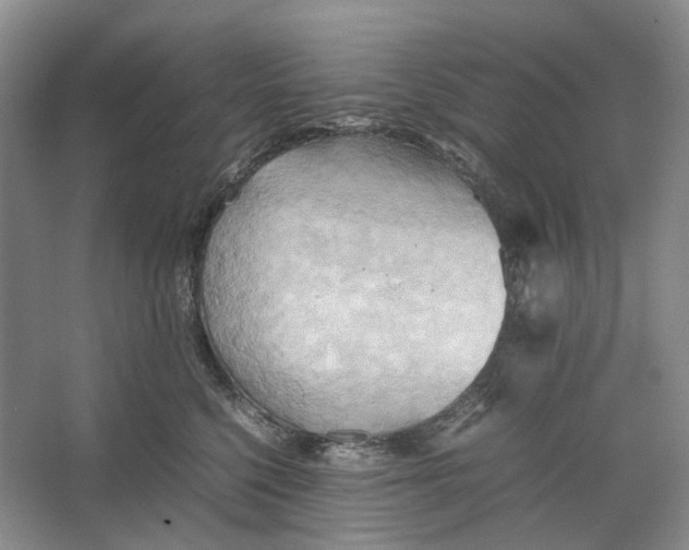 X0000064040568200602171647