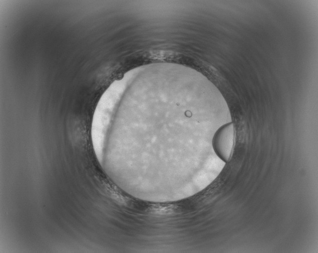 X0000064040569200602171647