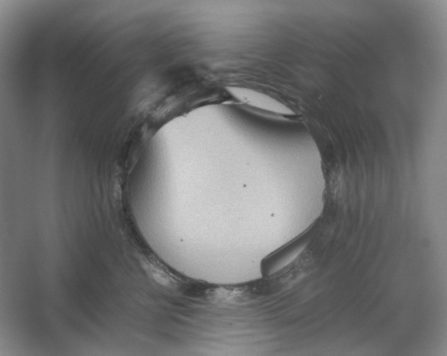 X0000064040570200602171647