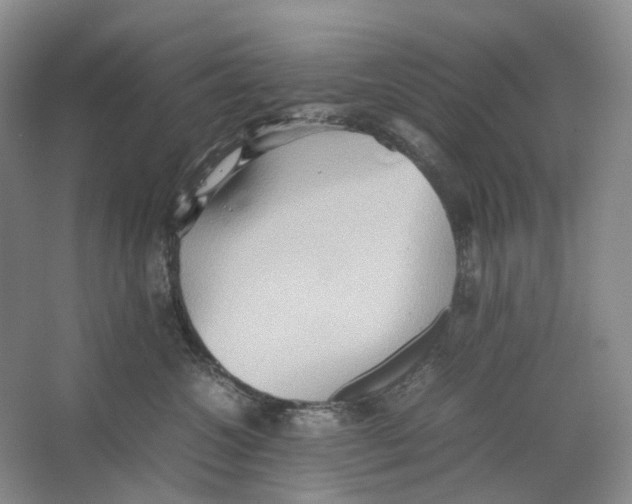 X0000064040572200602171647