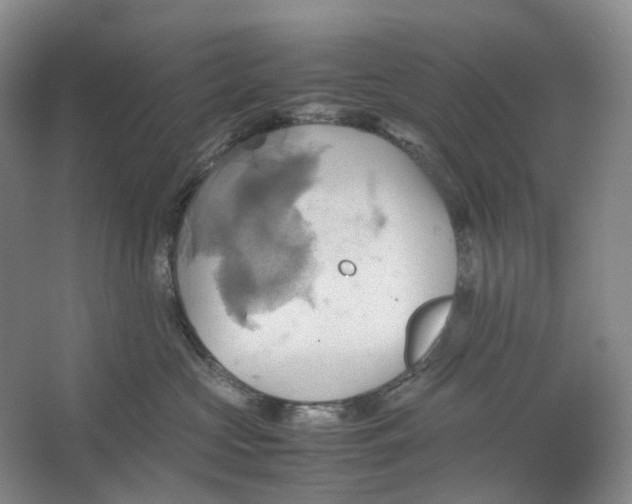 X0000064040573200602171647