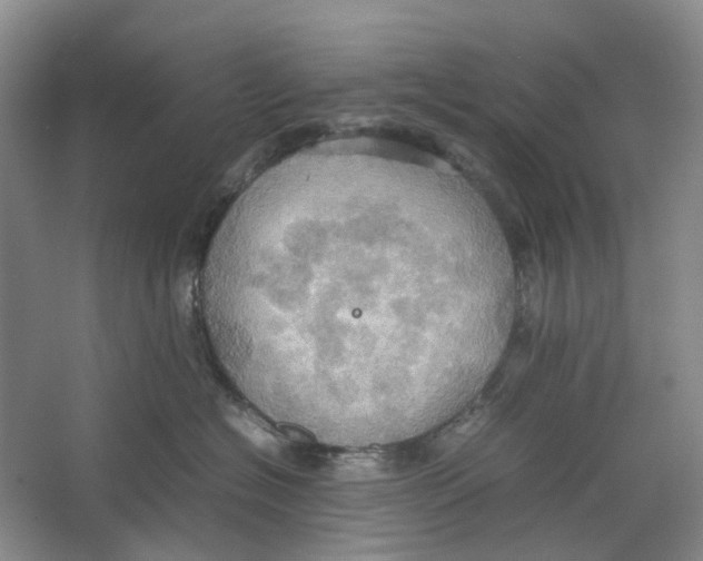 X0000064040574200602171647