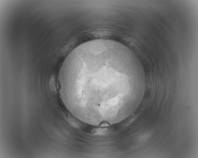 X0000064040575200602171647