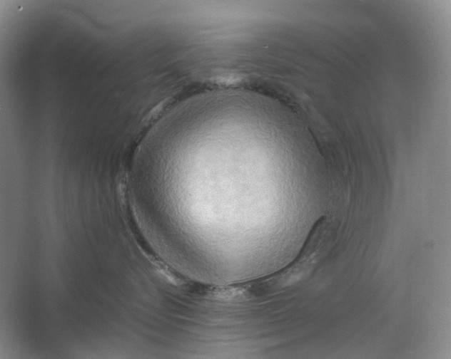 X0000064040576200602171647