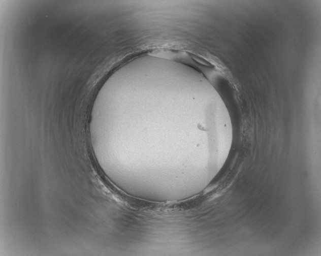 X0000064040577200602171646