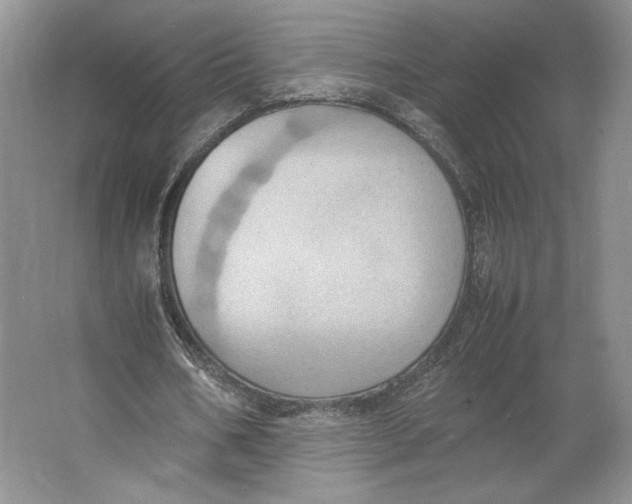 X0000064040578200602171646