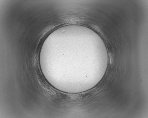 X0000064040579200602171646